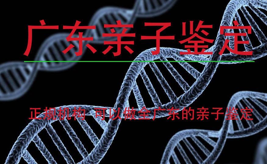 广州亲子鉴定